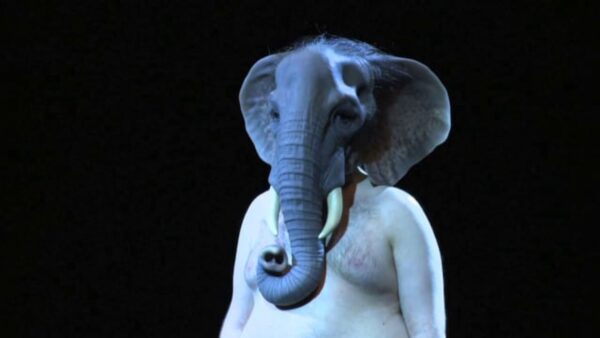 A person wearing a realistic elephant mask against a black backdrop