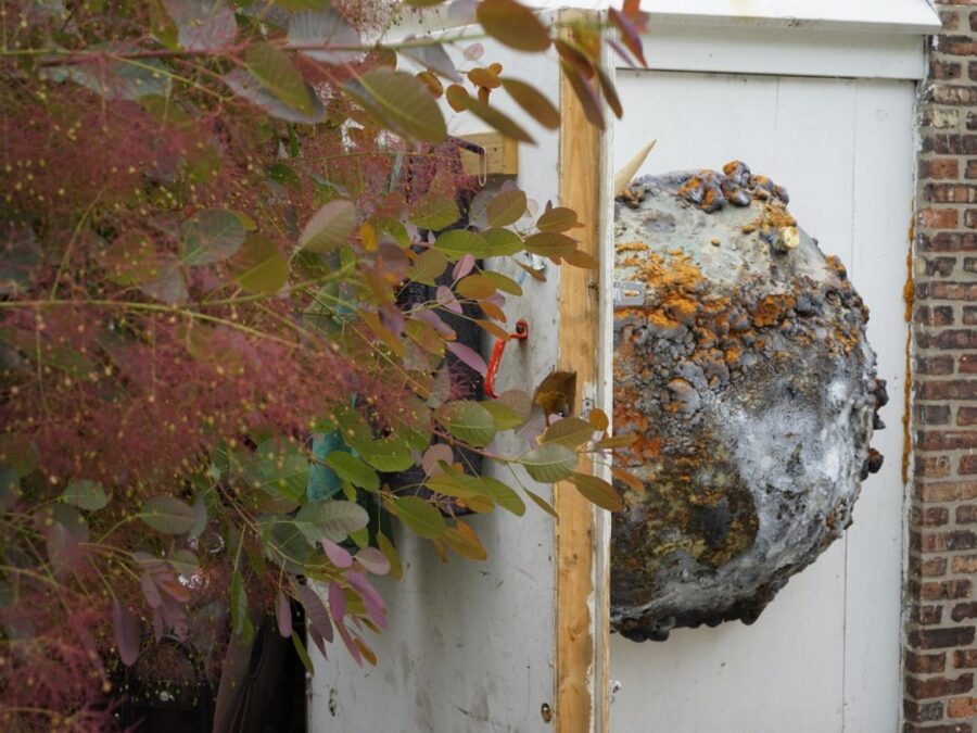 A sculpture half circle that resembles a planet or moon hanging on a white wall peeks out from behind a door and tree displaying fall colors