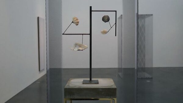 Seashells arranged on metal bars bent at various angles attached to a stone pedestal in a gallery space with a large grey sculpture behind it