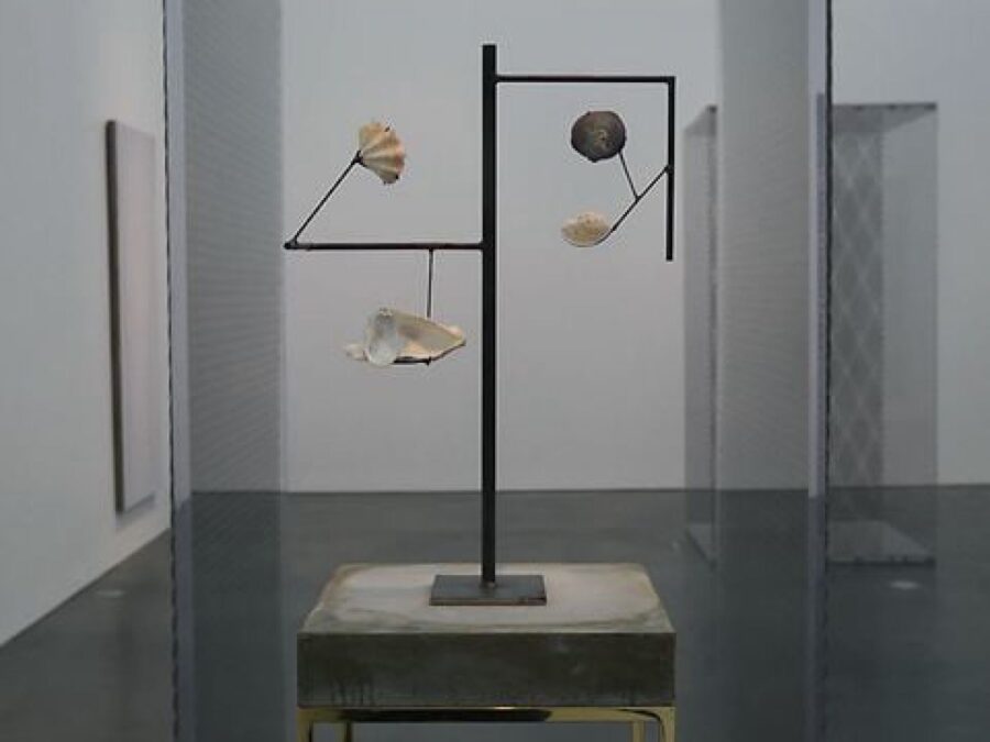 Seashells arranged on metal bars bent at various angles attached to a stone pedestal in a gallery space with a large grey sculpture behind it