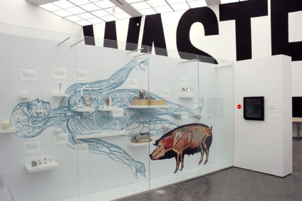 Two short white walls, one with a blue human and a pink pig on it slightly obscure large black text reading Waste