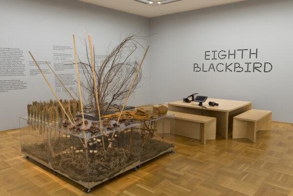 A gallery space with an installation featuring a lot of natural objects for making music beside a table with benches around it. On the wall in all caps is Eighth Blackbird.