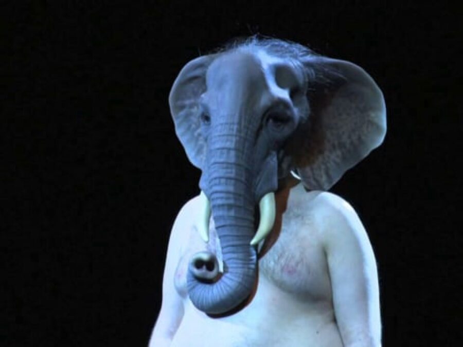 A person wearing a realistic elephant mask against a black backdrop