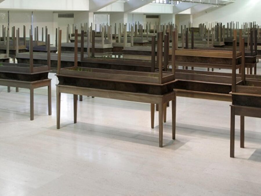 Several dozen rectangular wooden tables with secondary identical tables stacked upside-down on top have thin blades of green grass poking out.