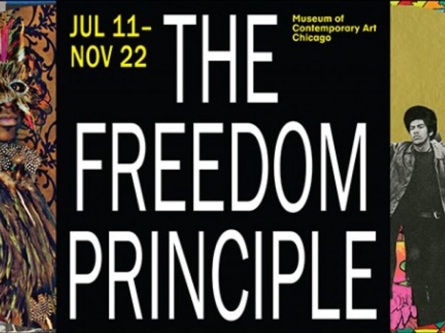 Bold, colorful artworks flank white text in a black square reading The Freedom Principle. The artworks are partially covered by a yellow square with black text that reads Music You can See on the left image, Art you can Hear on the right
