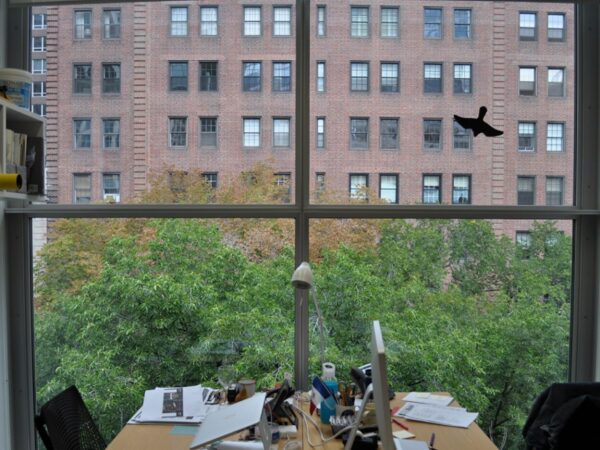 Black bird stickers on a four paned window in an office with two work stations