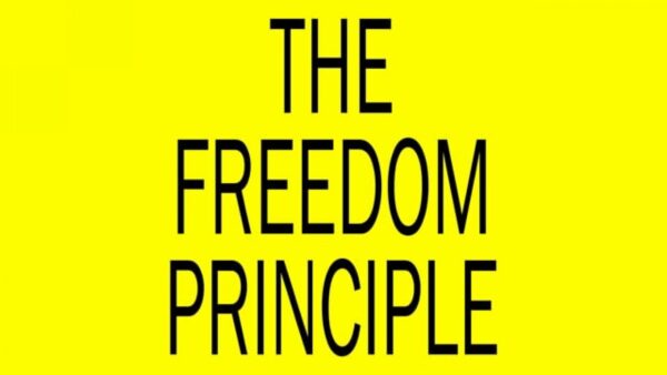 Black text on yellow background reading The Freedom Principle