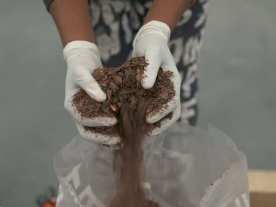 A close up of a two medium-brown toned hands wearing white gloves holding a loose brown material that spills back into a clear plastic bag