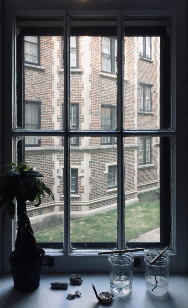 A window in a dark room looks out onto a courtyard with another building close by