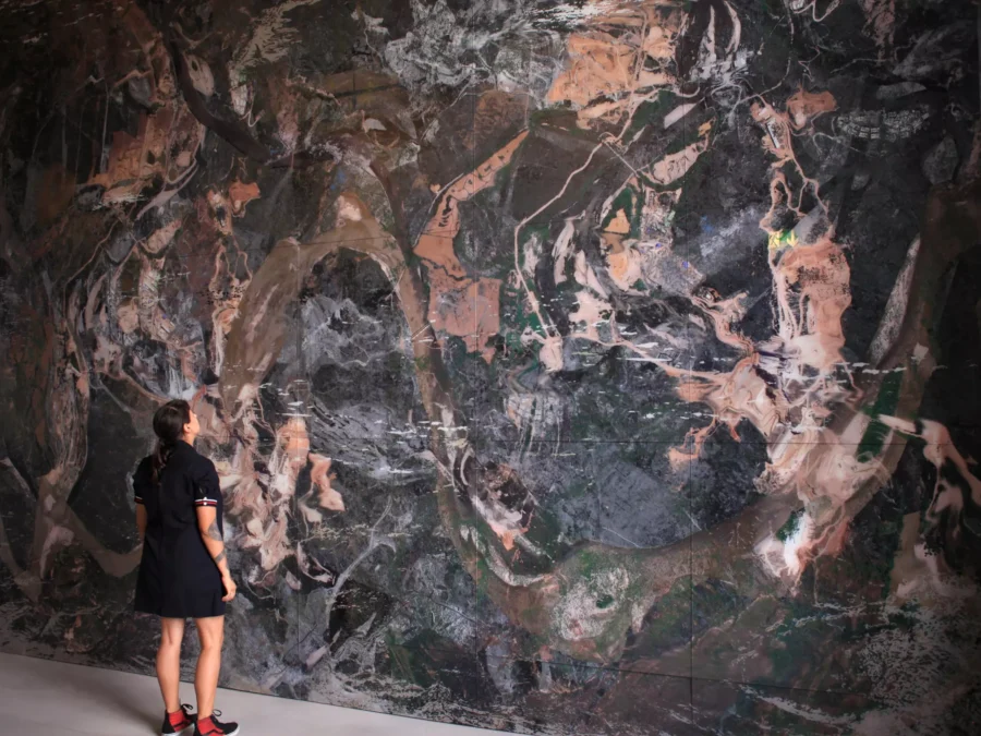 Carolina Caycedo, Yuma, or the Land of Friends, 2014. Digital prints on glass and satellite images; mural: 19 × 15 1/2 ft. (5.80 × 4.73 m). Installation view of 8th Berlin Biennale for Contemporary Art, Museen Dahlem, 2014.
