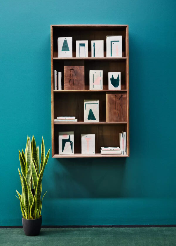 A wooden bookshelf against a teal wall, containing neatly arranged teal and white abstract artworks and woodblocks with engravings, alongside a potted snake plant on the floor to the left.
