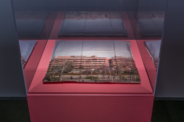 A pillow printed with the facade of a building is encased in plexiglass on a pink pedestal
