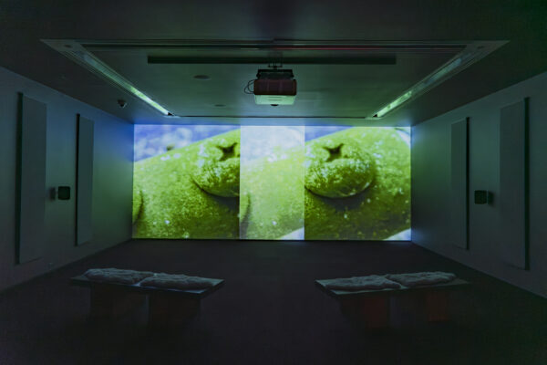 A double image of a green object is projected onto a screen in a dark room