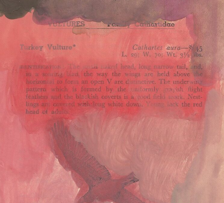 The definition and image of a vulture are obscured by watery reds, blacks, and beiges