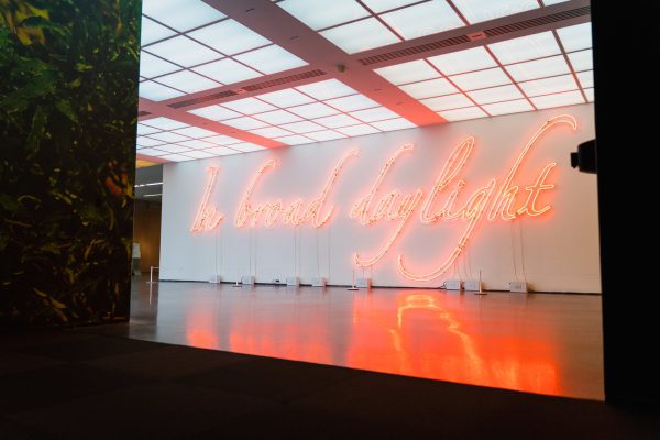 Large orange neon letters reading In broad daylight hang on a long white wall and reflect off the floor.