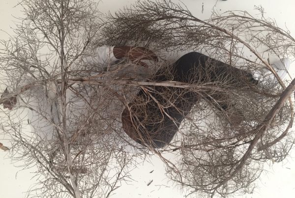A brown-skinned large-bodied Black person is immersed in dead branches, wearing softly grey pants, white shoes and shirt, their clothed body seems to disappear into the white background.