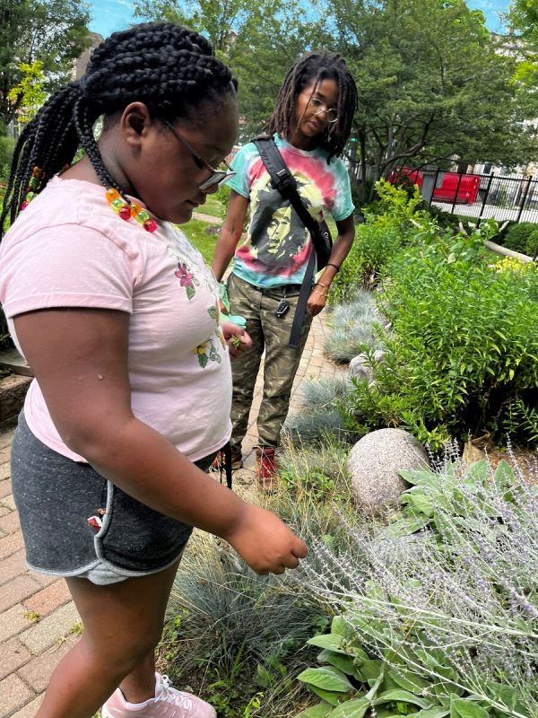 Image of two people gardening.