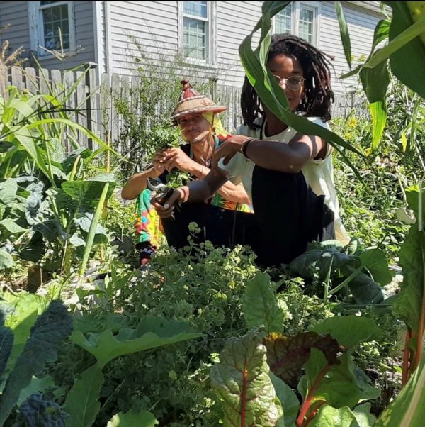 Image of two people gardening.