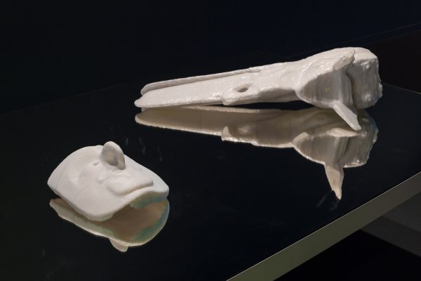 Close up of two bone-like specimens on a highly reflective black surface