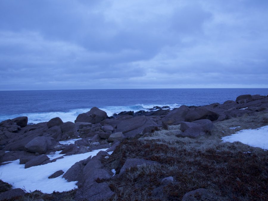 A rocky coastline on a cloudy day.