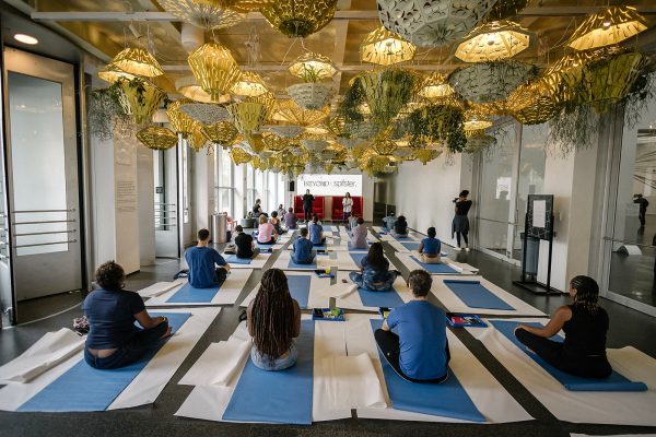 A group of people with their backs to us sit on blue yoga mats in a room filled with hanging plants.