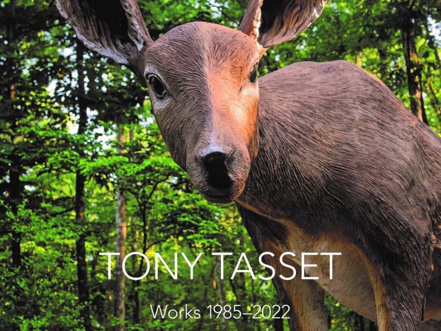 Cover image of a Tony Tasset book featuring an image of a plastic deer in a wooded area.