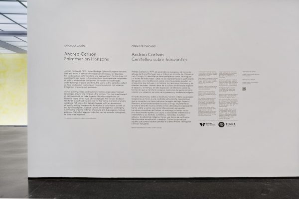 Gallery text on a white wall that is too small to read