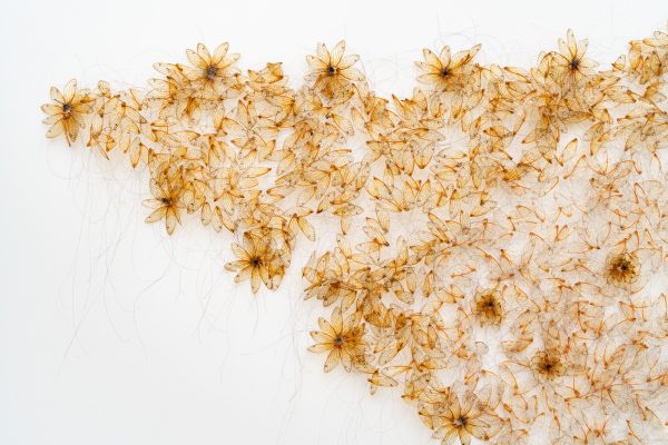 Dried flowers arranged in a triangular shape