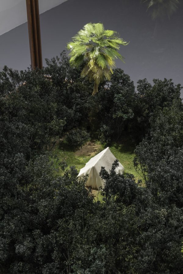 A white tent in the woods