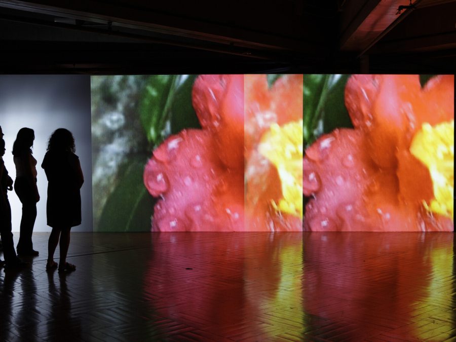 In a dark room four people look at a large screen displaying a double image of an out-of-focus flower shot close-up.
