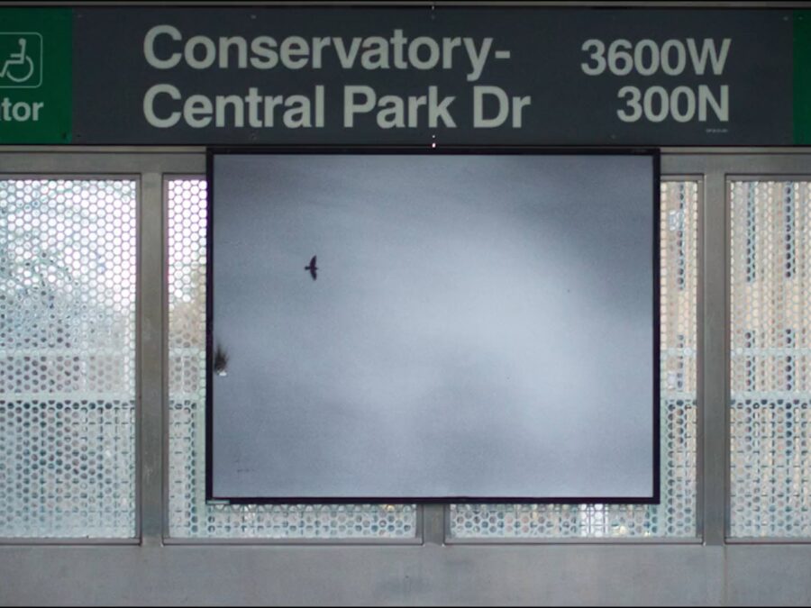 A photograph of a solitary bird in the sky is featured in ad space underneath the CTA green line station sign for Conservatory-Central Park Drive.