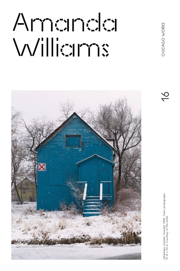 Black text on white reads Amanda Williams Chicago Works 16 and an illegible image caption accompanied by an image of an abandoned house painted a bright teal in winter