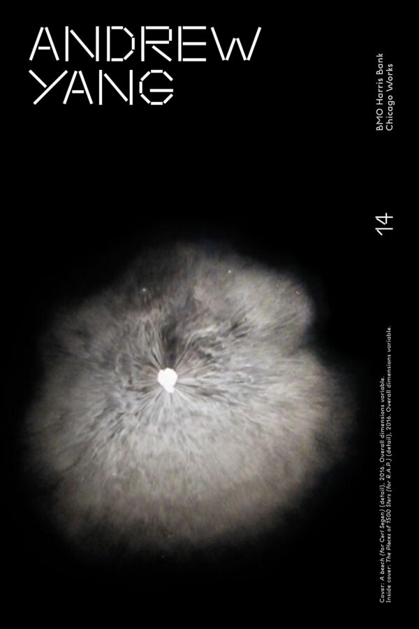 White text on black reads Andrew Yang Chicago Works 14 and an illegible image caption accompanied by an image of a grey blob against black resembling a galaxy