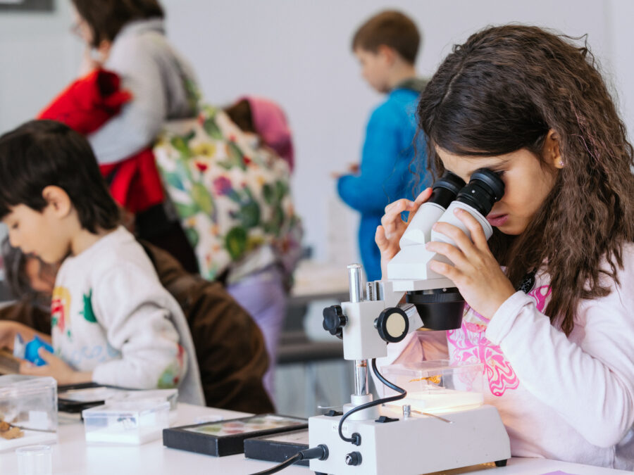 In a room filled with other children the focus is on a child with long brown hair looking through a microscope