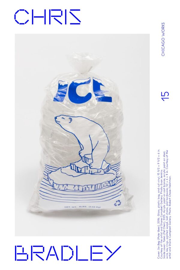 Blue text on white reads Chris Bradley Chicago Works 15 and an illegible image caption accompanied by an image of a bag of ice featuring an illustration of a polar bear on an ice flow
