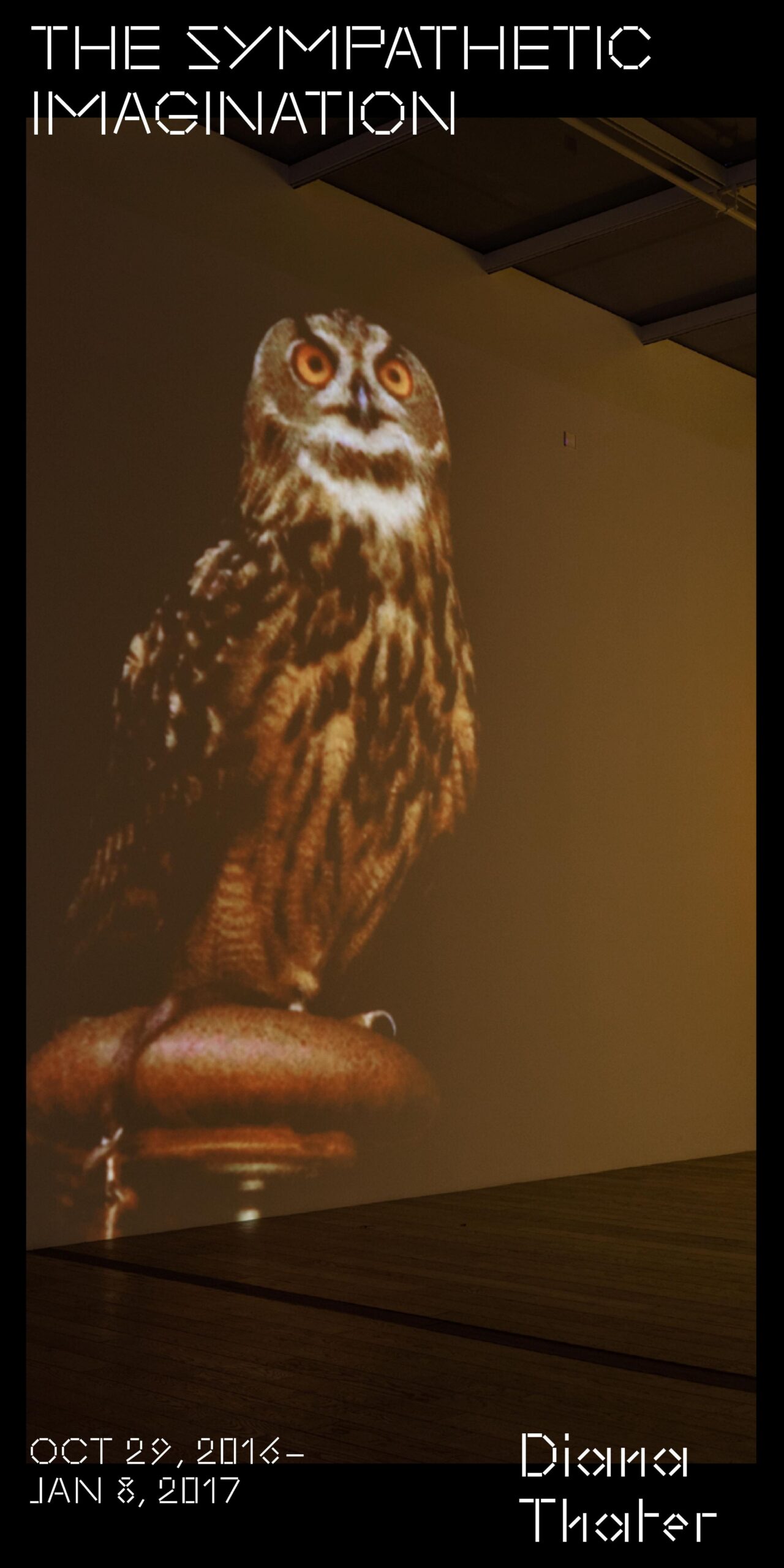 Brochure cover for The Sympathetic Imagination by Diana Thater featuring a large projection of an owl on it