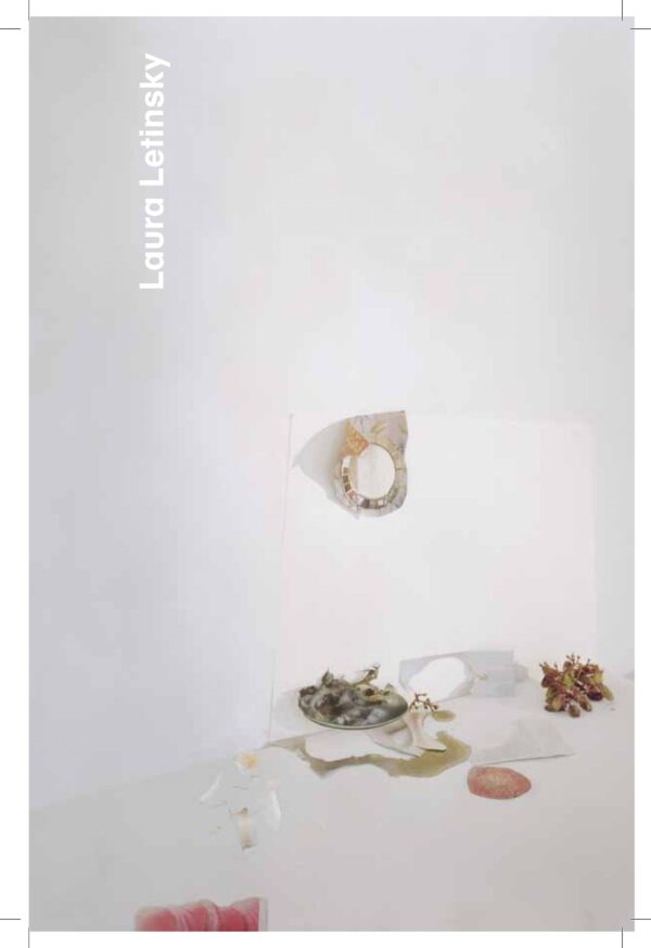 Abstract cut outs cast shadows against a white background. In the top left of the image, white text reads Laura Letinsky.