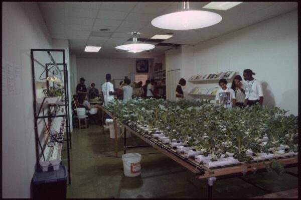 People interact in a space mostly filled with a hydroponic garden