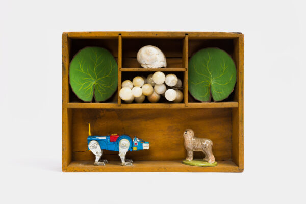 A wooden box divided into five sections, four on top, one on the bottom, with objects in each, including lily pads, a shell, white marbles, a robot dog, and a small dog figurine.