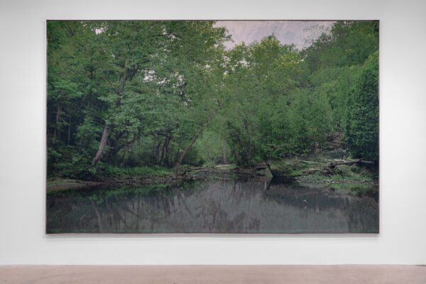 A river running through a forest in summer viewed from the middle of the river