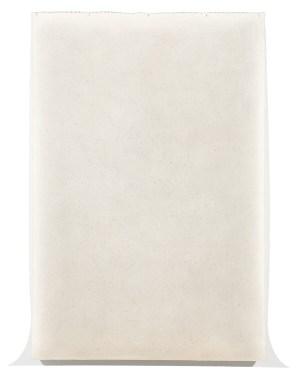 A cream colored sheet of paper that curls away from the wall, leaving a slight shadow on the wall