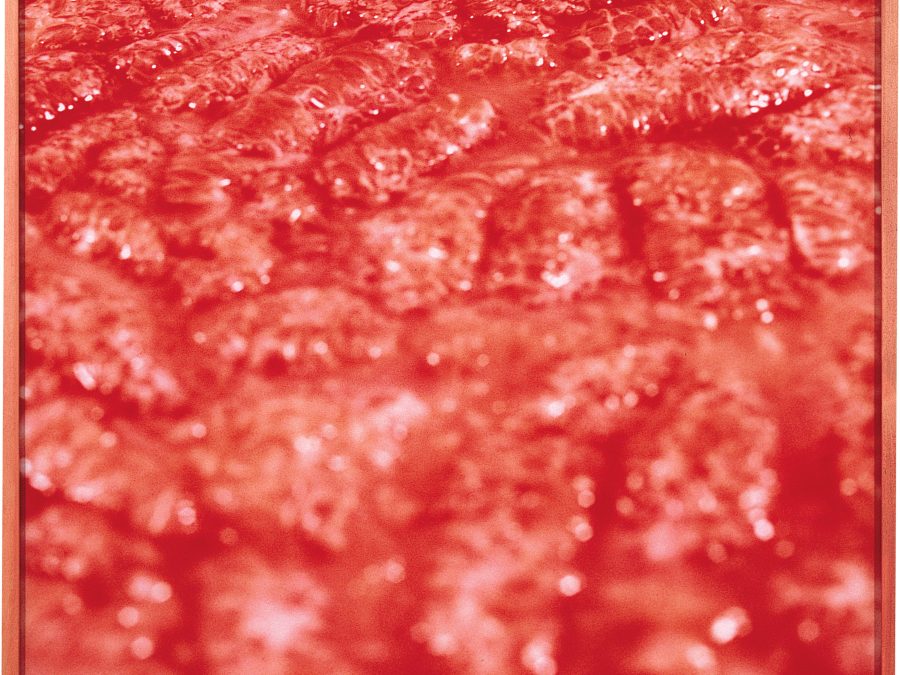 Abstract pink artwork featuring a tongue like texture