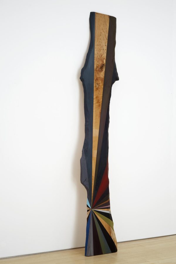 An organically shaped wooden plank has rays of various sizes and colors extending from a single point near the bottom.