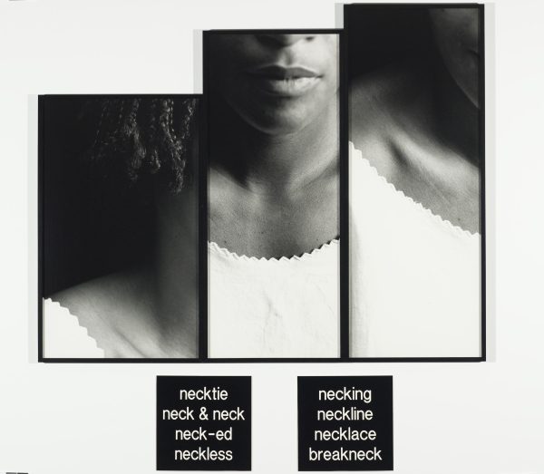 Three black-framed photographs displayed vertically and progressively larger depict portions of a person's neck. Beneath the photograph, two black square placards have white text reading neck tie, neck and neck, neck-ed, neckless on one, and on the other: necking, neckline, necklace, breakneck.