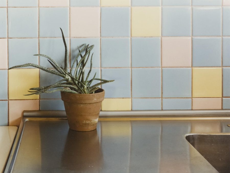 A plant a top of stainless steel counter with a backsplash of square pastel tiles, mainly blue, but diagonal accents of pink and yellow