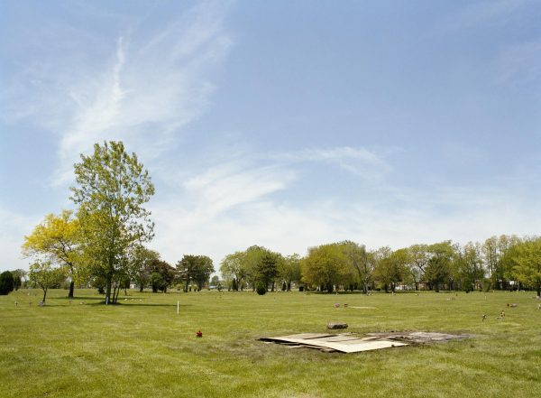 A sunny plain with trees in the distance. In the foreground, several wooden boards cover the earth. You can barely see small flowers and other markers denoting that this is a cemetery.