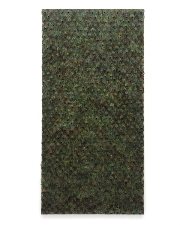 A vertical rectangle filled with peacock feathers that visually create a trellis-like pattern