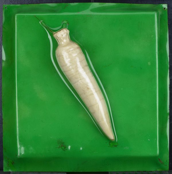 The form of a white carrot pressed into a green square