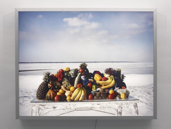 A large pile of tropic fruits on a glass table in the middle of a barren winter landscape