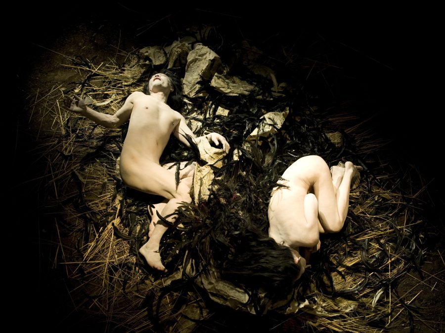 View from above of two nude people lying in a nest
